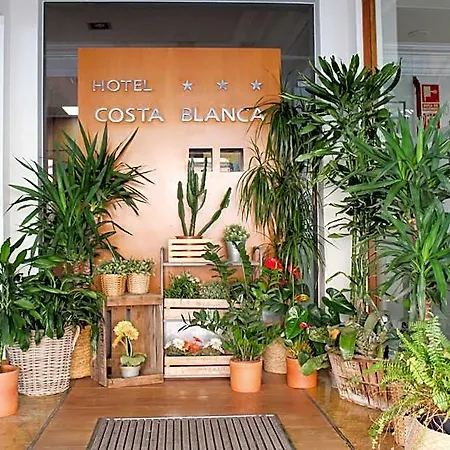 Mr Costa Blanca 데니아
