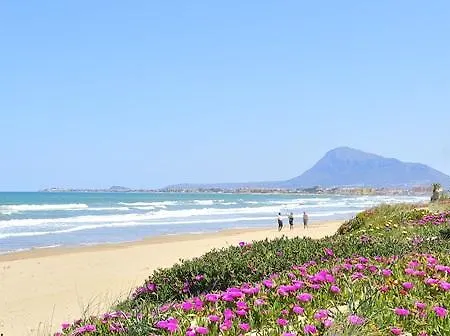 Mr Costa Blanca מלון דניה